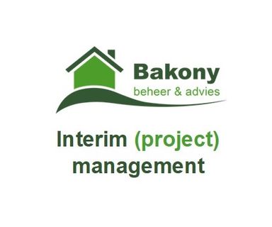 Interim (project) management